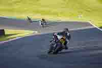 brands-hatch-photographs;brands-no-limits-trackday;cadwell-trackday-photographs;enduro-digital-images;event-digital-images;eventdigitalimages;no-limits-trackdays;peter-wileman-photography;racing-digital-images;trackday-digital-images;trackday-photos